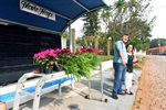 Jardim vertical hidropônico conta com samambaias, sunPatiens e aspargos alfinetes