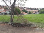 Moradores solicitam manutenção de área verde