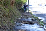 Mato alto também atrapalha passagem de pedestres