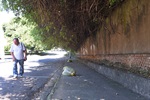 Na frente da escola, na rua Fidelis Stolf, árvores invadem calçada