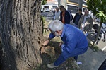 Engenheiros da prefeitura fizeram vistoria visual no entorno da Câmara