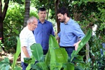 Área verde é destinada a plantações e lazer