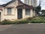 Mato na calçada atrapalhava a mobilidade