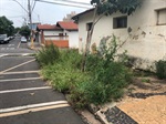 Mato na calçada atrapalhava a mobilidade