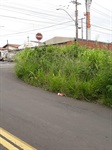 Área verde localizada entre a avenida Brasília e a rua José Zaguetti, no bairro Parque Conceição