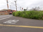 Área verde localizada entre a avenida Brasília e a rua José Zaguetti, no bairro Parque Conceição