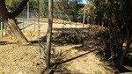 Obras em área de lazer no Bosque Água Branca são finalizadas