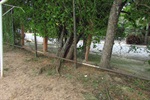 Campo na Vila Monteiro