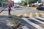 Sérgio da Van (PL), visitou na manhã desta quarta-feira (14) algumas ruas do bairro Santa Terezinha