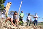 Plantio foi realizado na manhã desta terça-feira, na praça das Corujas