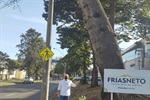 Reclamações de moradores do bairro Cidade Jardim sobre risco de árvore inclinada motivou indicação de Anilton Rissato