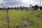 Vereador avaliou com o secretário possibilidade de construção do campo