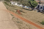 Gilmar Rotta (Cidadania) visitou a avenida 31 de Março, onde população local pede instalação de mureta