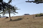Gilmar Rotta (Cidadania) visitou a avenida 31 de Março, onde população local pede instalação de mureta