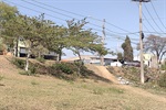Gilmar Rotta (Cidadania) visitou a avenida 31 de Março, onde população local pede instalação de mureta