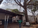 Sedema removeu galhos que comprometiam telhado da sede. 