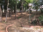 Bosque do Água Branca