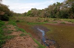 Primeira etapa da limpeza teve a retirada de vegetação da lâmina de água