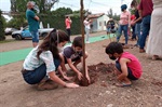 Árvores foram cedidas pela Secretaria Municipal de Defesa do Meio Ambiente (Sedema).