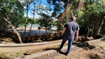Poda de árvores revitaliza o entorno do Parque do Mirante