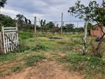 Horta comunitária do Jardim Oriente deverá ser retomada