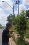 Vereador Fabrício Polezi foi verificar o radar instalado na avenida Antônio Fazanaro