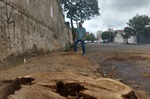 Árvores estavam localizadas junto ao muro do Cemitério da Saudade, na Vila Monteiro.