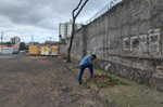 Árvores estavam localizadas junto ao muro do Cemitério da Saudade, na Vila Monteiro.