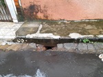 Infiltração de água ameaça calçada e muro no Jardim Esplanada
