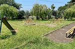 Vereador oficializa Executivo sobre área de lazer do Parque Piracicaba