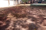 Gilmar Rotta visitou Escola Municipal Prof. João Batista Nogueira para verificar problemas de manutenção apontados por pais de alunos