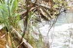Água cinzenta e mau cheirosa seguirá para o ribeirão do Enxofre e posteriormente para o rio Piracicaba