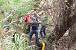 Acesso ao terreno localizado na rua Benjamin Constant, na Paulicéia, é dificultado pelos entulhos espalhados por todos os cantos