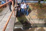 Parlamentares observam turbidez da água que cai no canteiro central da Avenida 31 de março 