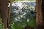 CPI constatou esgoto sem tratamento despejado a céu aberto na Lagoa do Itaiçaba