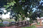 Obstrução de passarela causa transtorno aos moradores da Vila Rezende