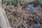A Secretaria Municipal de Obras (Semob)  realizou a operação tapa buracos e  limpeza do córrego no bairro Vida Nova