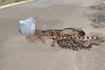 A Secretaria Municipal de Obras (Semob)  realizou a operação tapa buracos e  limpeza do córrego no bairro Vida Nova