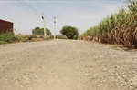 Moradores reclamam de pontos críticos na estrada do Campestre