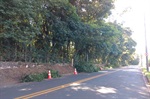 Avenida Pedro Morganti recebeu serviços de limpeza