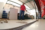 Árvores irregulares colocam em risco a população da Pauliceia