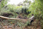 Moradores denunciam degradação ambiental no entorno de loteamentos