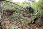 Moradores denunciam degradação ambiental no entorno de loteamentos