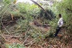 Moradores denunciam degradação ambiental no entorno de loteamentos