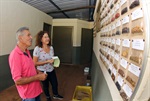 Vereador destaca relevância do Viveiro Municipal