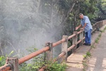 Ponte do Caixão necessita de manutenção imediata