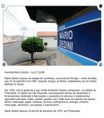 Avenida Mário Dedini