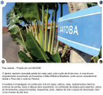 Rua Jatobá