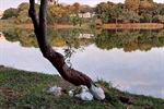 Vereador solicita lixeiras no entorno da lagoa do Santa Rita