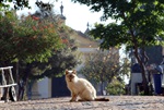 Portal monumental do cemitério da Saudade é marco histórico da cidade